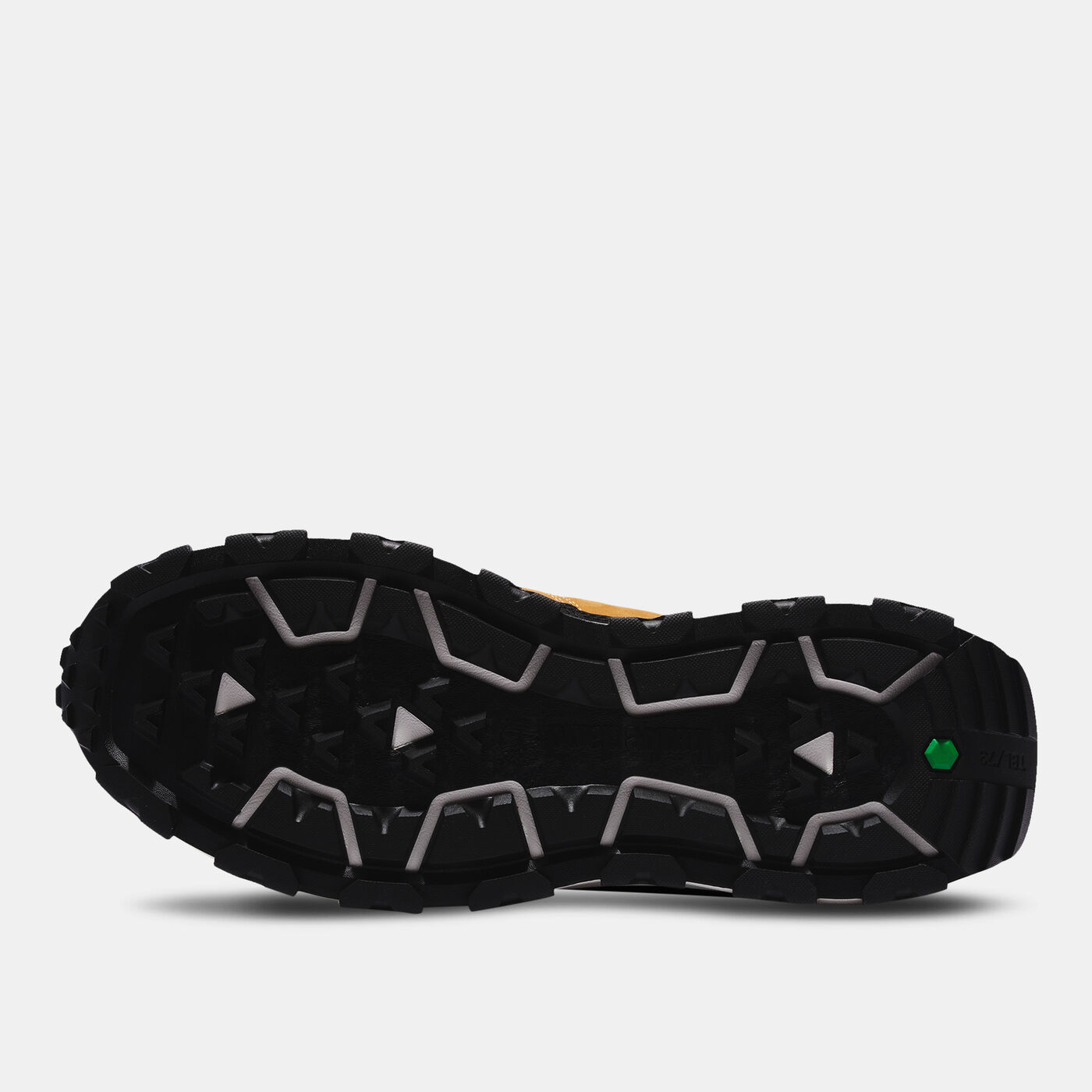 Men's Winsor Trail Hiking Shoes