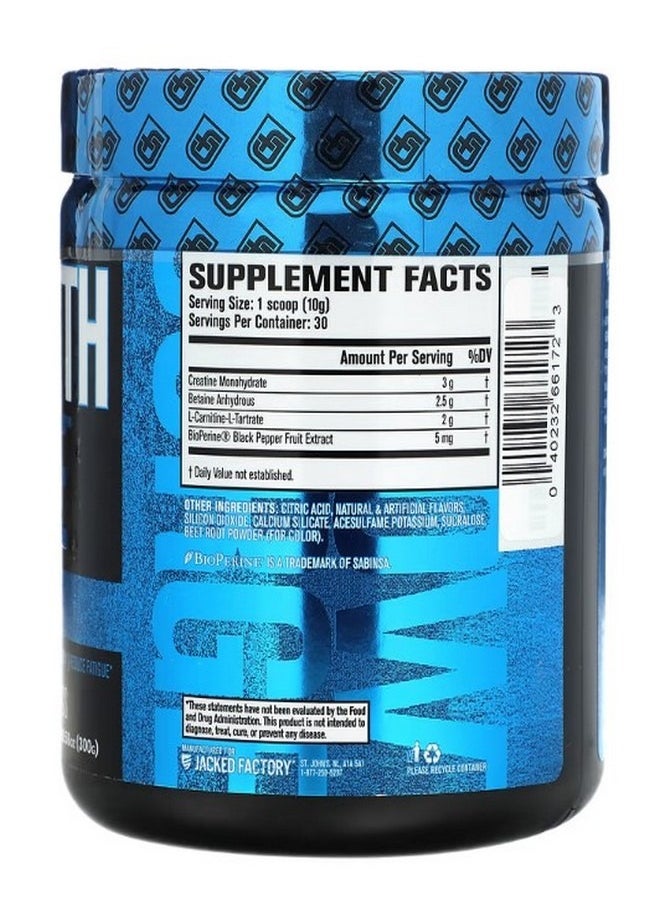 Growth Surge Post Workout Swoleberry 10.58 oz 300 g