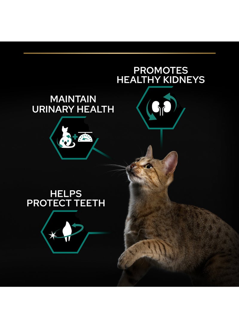 Sterilised Adult Renal Plus Dry Cat Food with Turkey