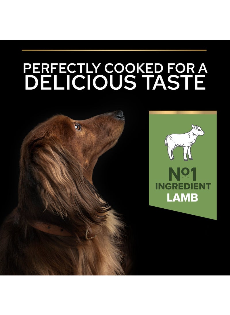 Sensitive Digestion Small and Mini Adult, Dry Dog Food with Lamb 3kg