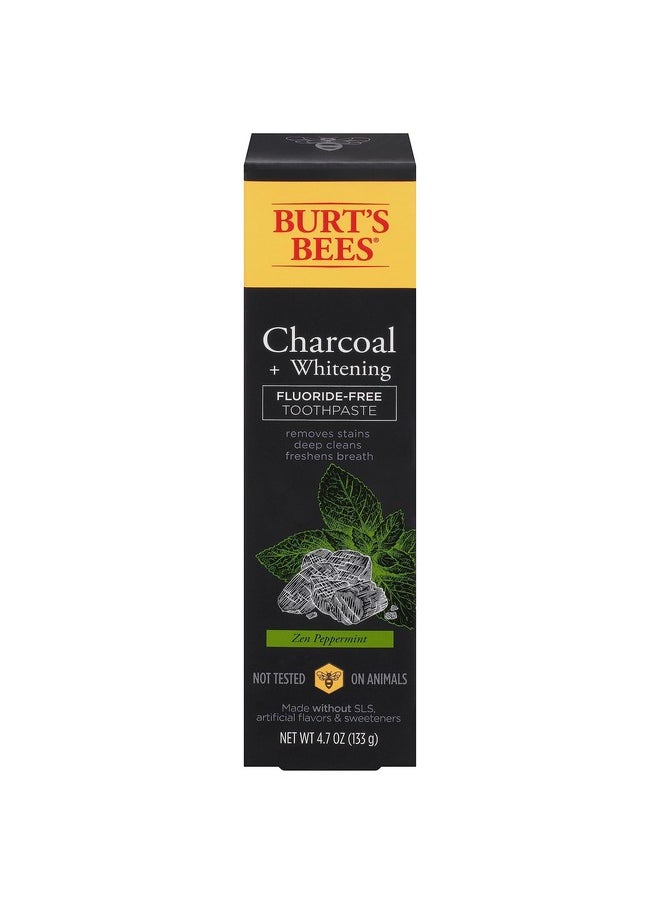 Burt's Bees Charcoal + Whitening Fluoride-Free Toothpaste