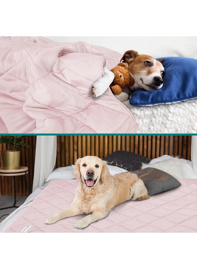 PetAmi Premium Cooling Dog Blanket | Lightweight Fluffy Pet Throw Blanket Bed Cover for Dogs, Cat, Puppies | Pet Blanket Furniture Protector Couch Sofa | Reversible Fuzzy Cozy | 40x60, Pink