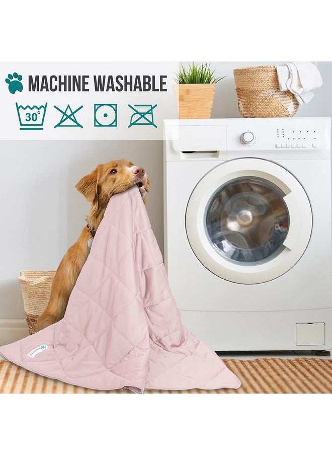 PetAmi Premium Cooling Dog Blanket | Lightweight Fluffy Pet Throw Blanket Bed Cover for Dogs, Cat, Puppies | Pet Blanket Furniture Protector Couch Sofa | Reversible Fuzzy Cozy | 40x60, Pink