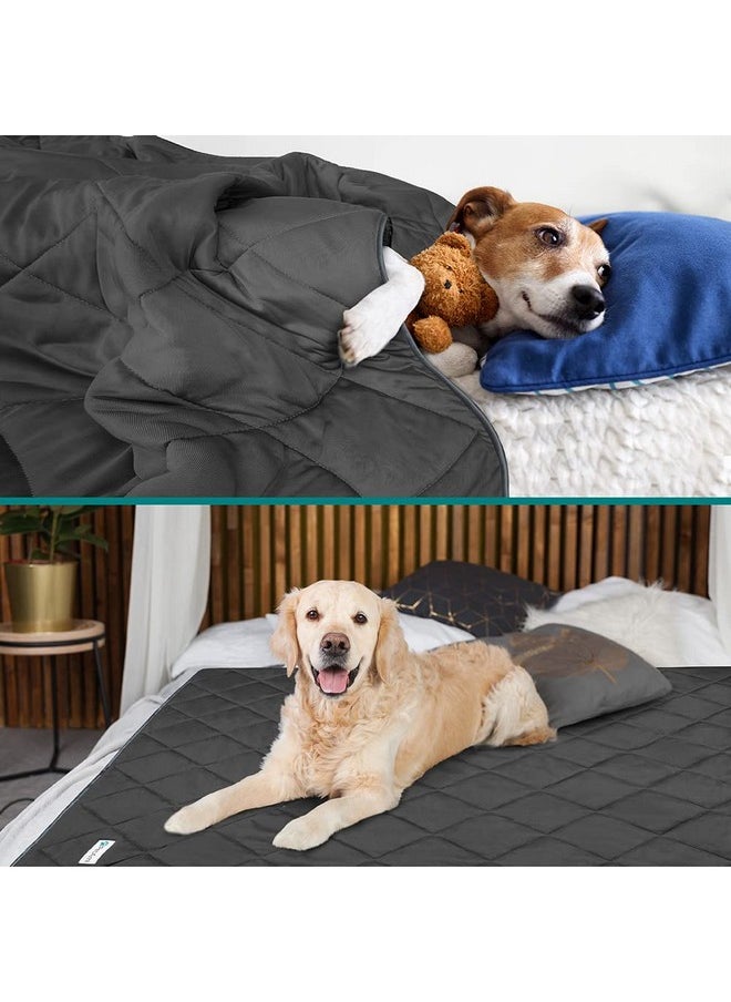 PetAmi Premium Cooling Dog Blanket | Lightweight Fluffy Pet Throw Blanket Bed Cover for Dogs, Cat, Puppies | Pet Blanket Furniture Protector Couch Sofa | Reversible Fuzzy Cozy | 40x60, Grey