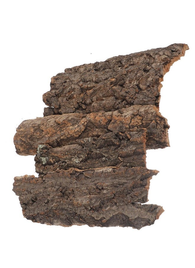 balacoo Terrarium Tree Bark: 8pcs Reptile Bark Decoration Natural Cork Bark Backdrop Reptile Tank Background Leopard Cork Bark - Tarantula Enclosure Accessories