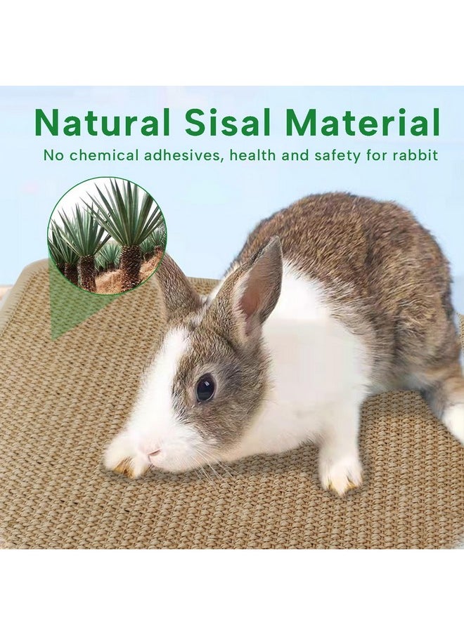 KEYIDE 2Pcs Rabbit Scratcher Pad, Natural Sisal Scratching Mats for Nails, Sturdy Bunny Grinding Claw Boards for Guinea Pigs, Chinchillas, Rats 16