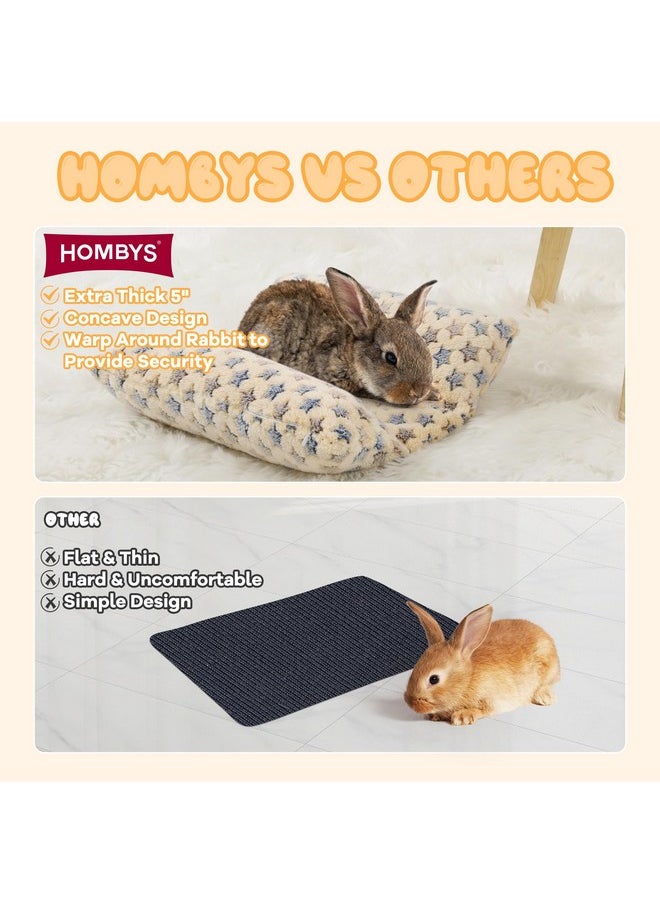 HOMBYS 5