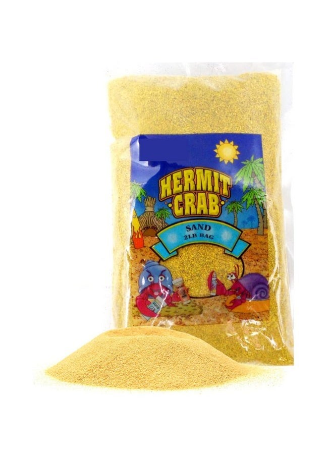 Needzo Natural Terrarium Supplies for Hermit Crabs and Reptiles, Loose Coco Fiber Substrate, 2 Pound Sand Bag, and Scooper Sifter, Bulk Terrarium Supplies, 3 Items