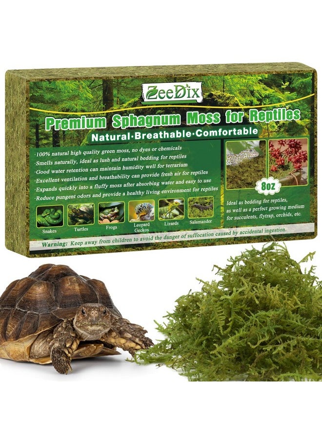ZeeDix 8OZ Premium Sphagnum Moss for Reptile, 12QT Green Natural Live Moss Reptile Moss Bedding for Terrarium Plants, Long Fiber Reptile Moss for Leopards, Geckos, Snakes, Turtles, Frogs