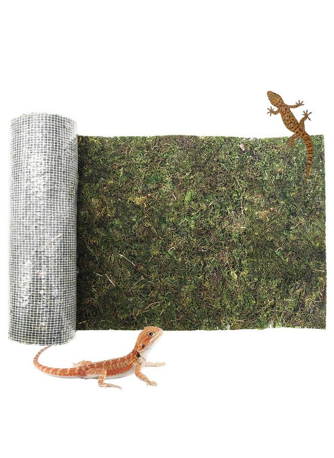 kathson Reptile Carpet, Natural Moss Mat for Terrarium, Bearded Dragon Tank Flooring Green Substrate Liner for Leopard Gecko Hermit Crab Lizard Tortoise (39.37
