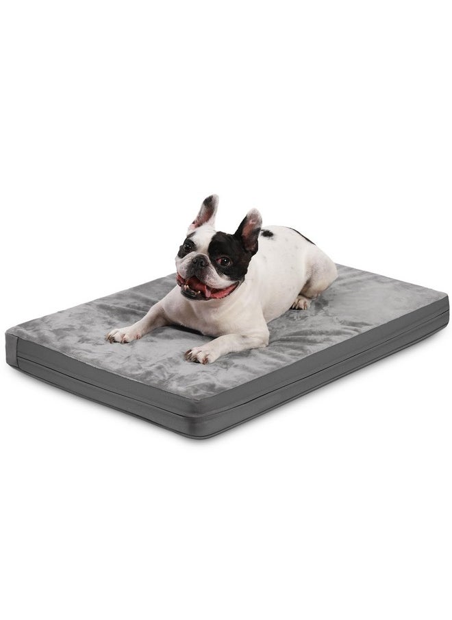 Waterproof Small Dog Bed Crate Pad 24 inch, Washable Puppy Bed Orthopedic with Removable Cover Reversible, Foam Dogs Bed, Cat Bed Kennel Pad 23