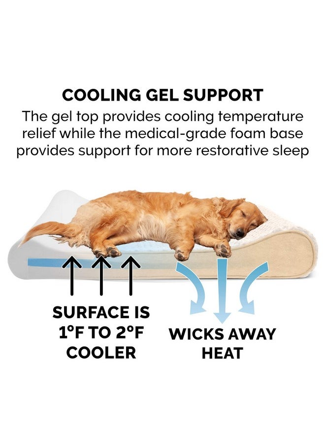 Furhaven Cooling Gel Dog Bed for Large/Medium Dogs w/ Removable Washable Cover, For Dogs Up to 38 lbs - Ultra Plush Faux Fur & Suede Luxe Lounger Contour Mattress - Cream, Large