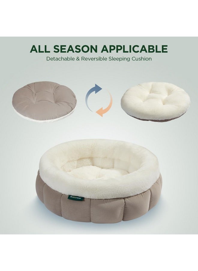 BALANCE Round Cat Beds for Indoor Cats - Donut Dog Beds for Small Dogs, Washable Pet Bed for Puppy and Kitten with Anti-Slip Bottom