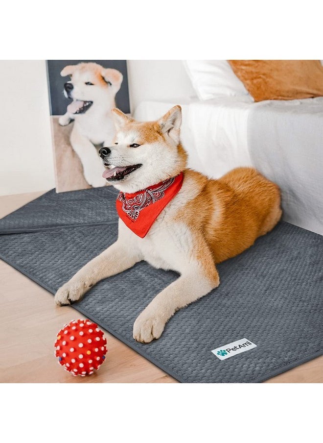 PetAmi Waterproof Dog Blanket, Leakproof XL Pet Blanket for Large Dogs, Furniture Sofa Couch Cover Protector, Fleece Cat Throw for Bed Crate Kennel, Reversible Washable Soft Plush, Twin 60x80 Gray