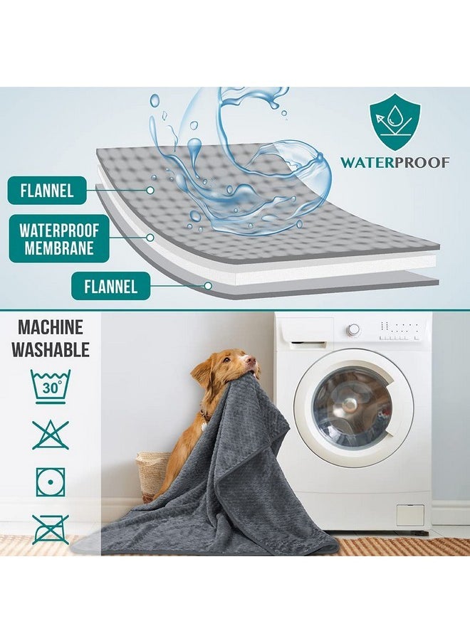 PetAmi Waterproof Dog Blanket, Leakproof XL Pet Blanket for Large Dogs, Furniture Sofa Couch Cover Protector, Fleece Cat Throw for Bed Crate Kennel, Reversible Washable Soft Plush, Twin 60x80 Gray