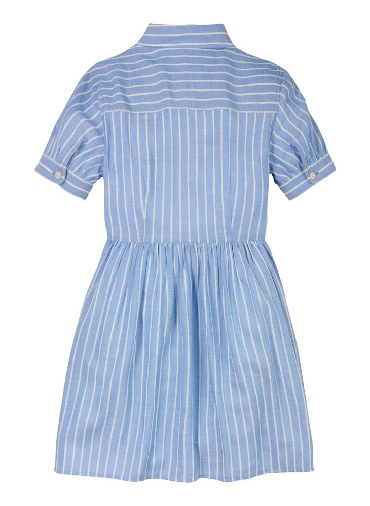Striped Button-Down Dress