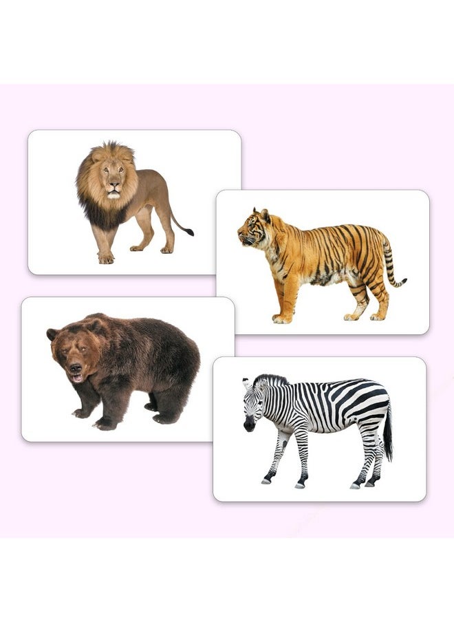 My First Wild Animals Flash Cards for Toddlers, 24 Cards, 48 Sides, Montessori, Educational, Kindergarten, Preschool Learning Activities, Gifts for Kids, 1-4 Years babies, Fun & Educational Flashcards