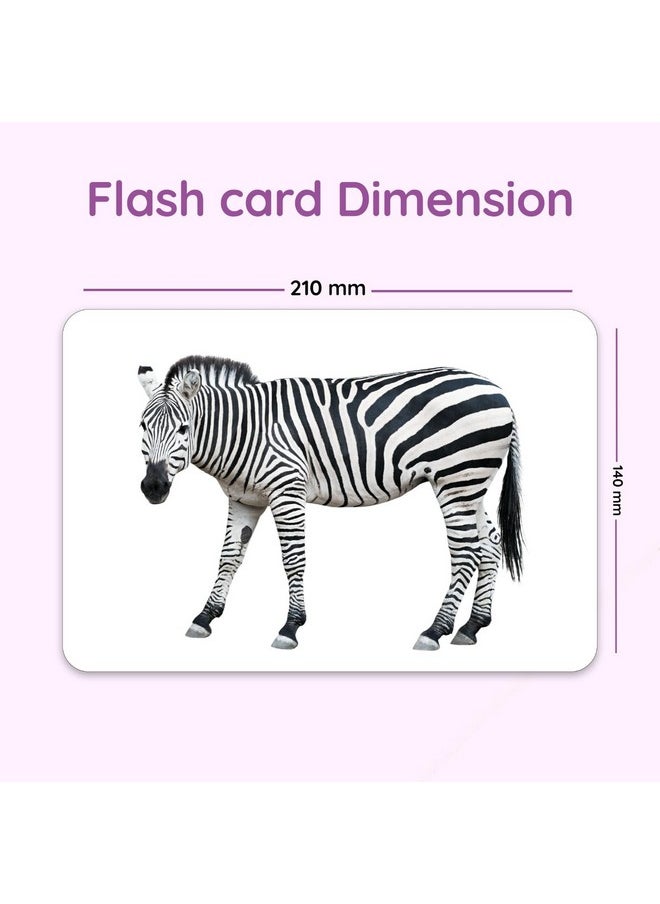 My First Wild Animals Flash Cards for Toddlers, 24 Cards, 48 Sides, Montessori, Educational, Kindergarten, Preschool Learning Activities, Gifts for Kids, 1-4 Years babies, Fun & Educational Flashcards