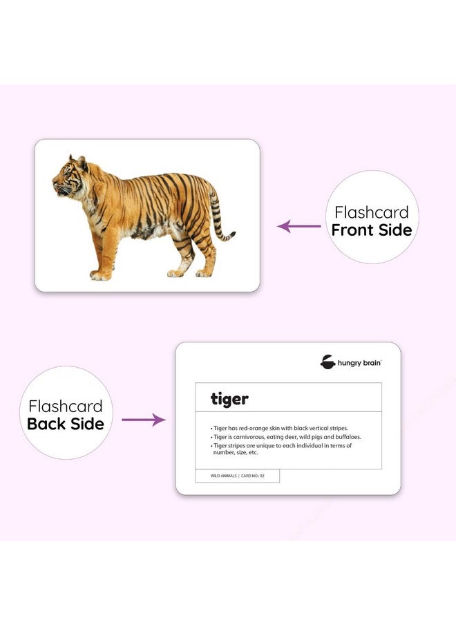 My First Wild Animals Flash Cards for Toddlers, 24 Cards, 48 Sides, Montessori, Educational, Kindergarten, Preschool Learning Activities, Gifts for Kids, 1-4 Years babies, Fun & Educational Flashcards