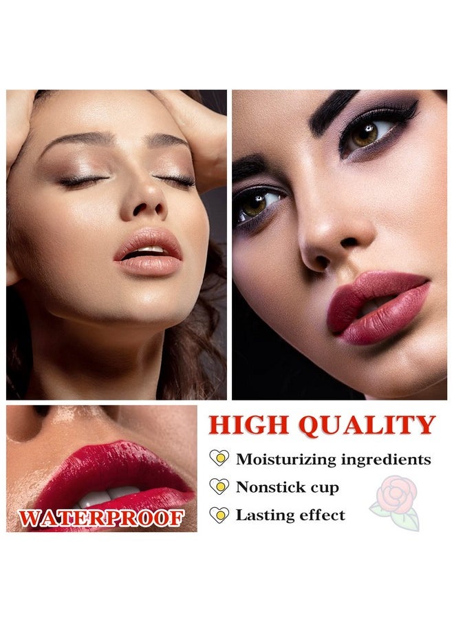 IONSGAKO 6 Colors Matte Nude Lipstick Set Liquid Lipstick Velvet Lip Gloss Lip Stain Long Lasting Waterproof Nude Pink Lipstick Set for Women Lip Makeup (SET-B)