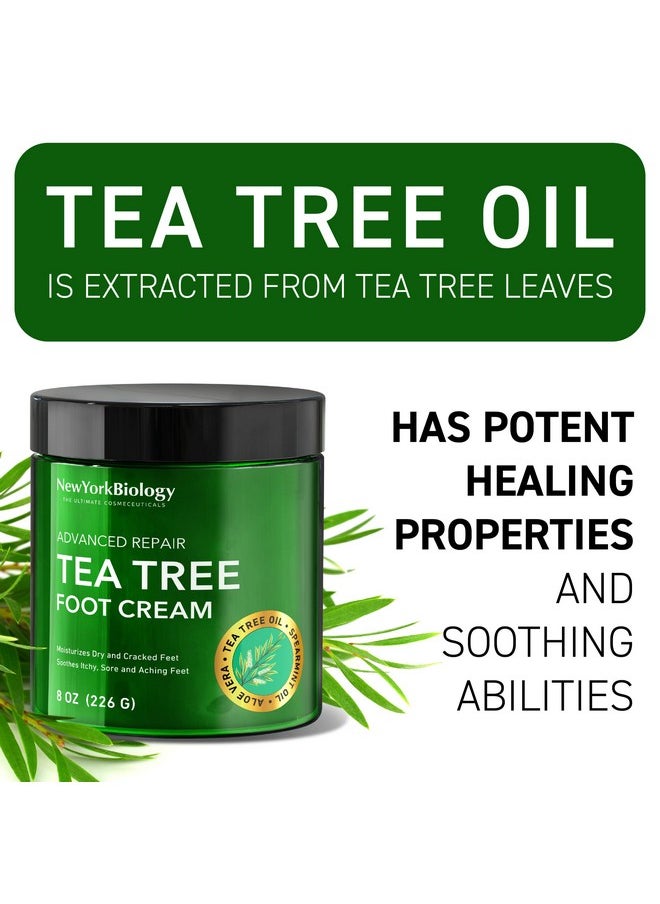 New York Biology Tea Tree Oil Foot Cream for Dry Cracked Feet, Athletes Foot, Nail Fungus, Jock Itch, Ringworm, Cracked Heels and Itchy Skin - Foot Cream - 8 oz