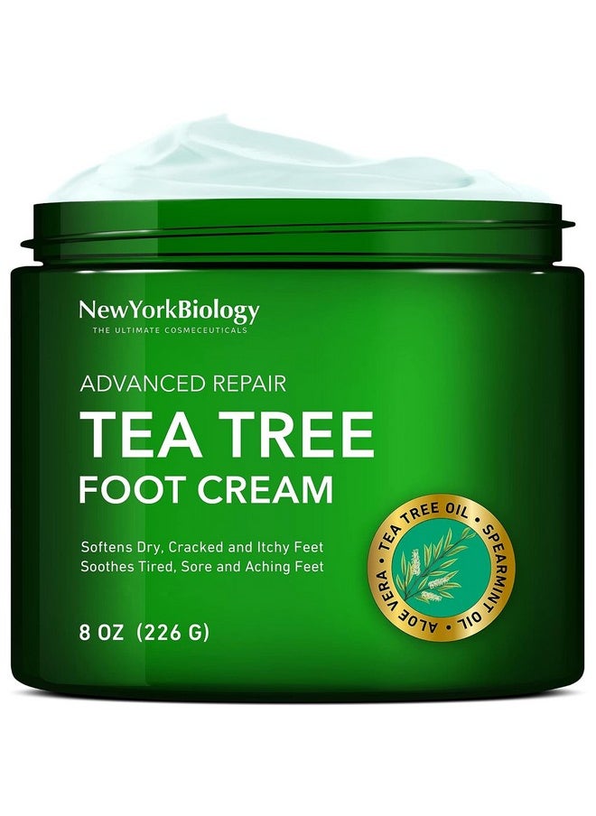 New York Biology Tea Tree Oil Foot Cream for Dry Cracked Feet, Athletes Foot, Nail Fungus, Jock Itch, Ringworm, Cracked Heels and Itchy Skin - Foot Cream - 8 oz