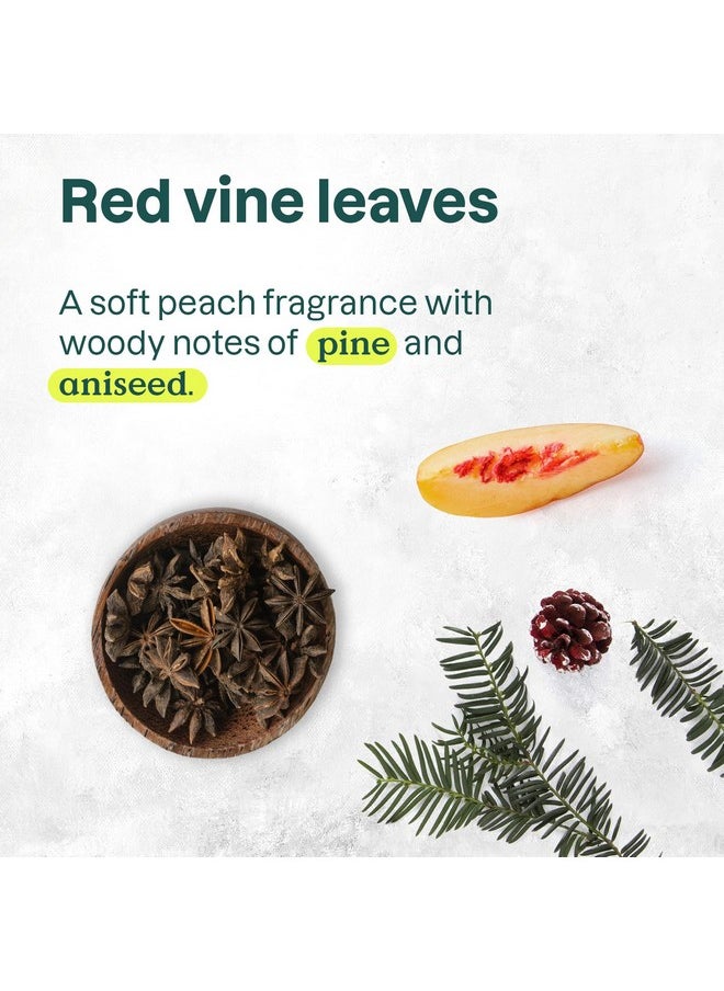 ATTITUDE Liquid Hand Soap, EWG Verified, Plant and Mineral-Based, Vegan Personal Care Products, Red Vine Leaves, 16 Fl Oz (Pack of 6)