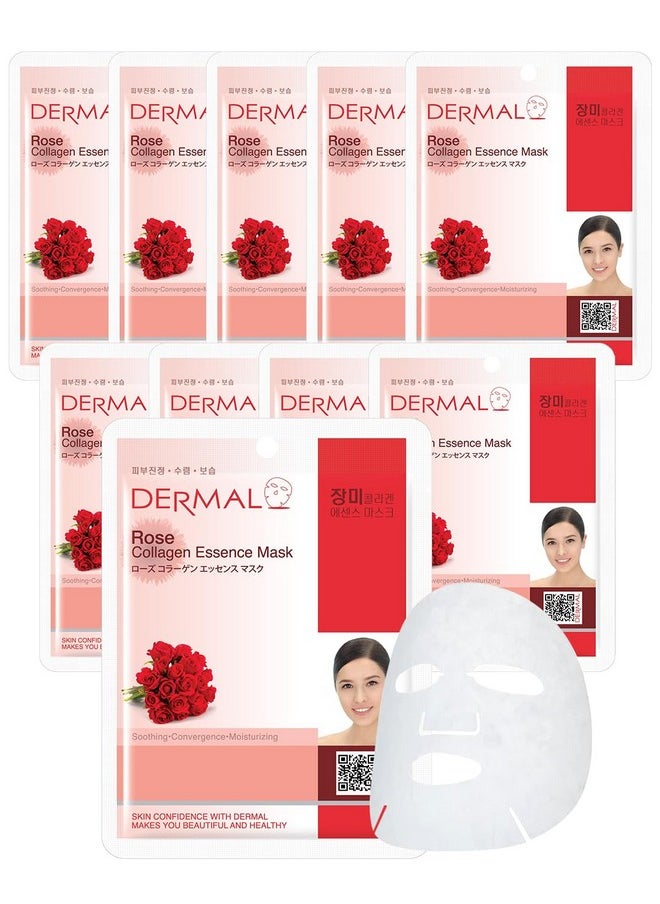 DERMAL Rose Collagen Essence Korean Facial Mask Sheet Pack of 10 - Reviving Tired Skin, Soothing & Hydrating - Hypoallergenic Skin Friendly Sheet