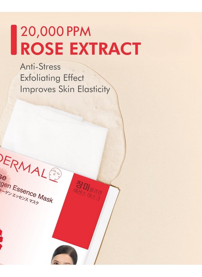 DERMAL Rose Collagen Essence Korean Facial Mask Sheet Pack of 10 - Reviving Tired Skin, Soothing & Hydrating - Hypoallergenic Skin Friendly Sheet
