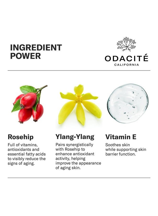 Odacité Anti Aging Serum Concentrate with Rosehip + Ylang-Ylang - Lightweight Facial Serum For Mature Skin, Fine Lines, Nourishes for Look of Plump, Youthful Skin - 0.17 Fl. Oz