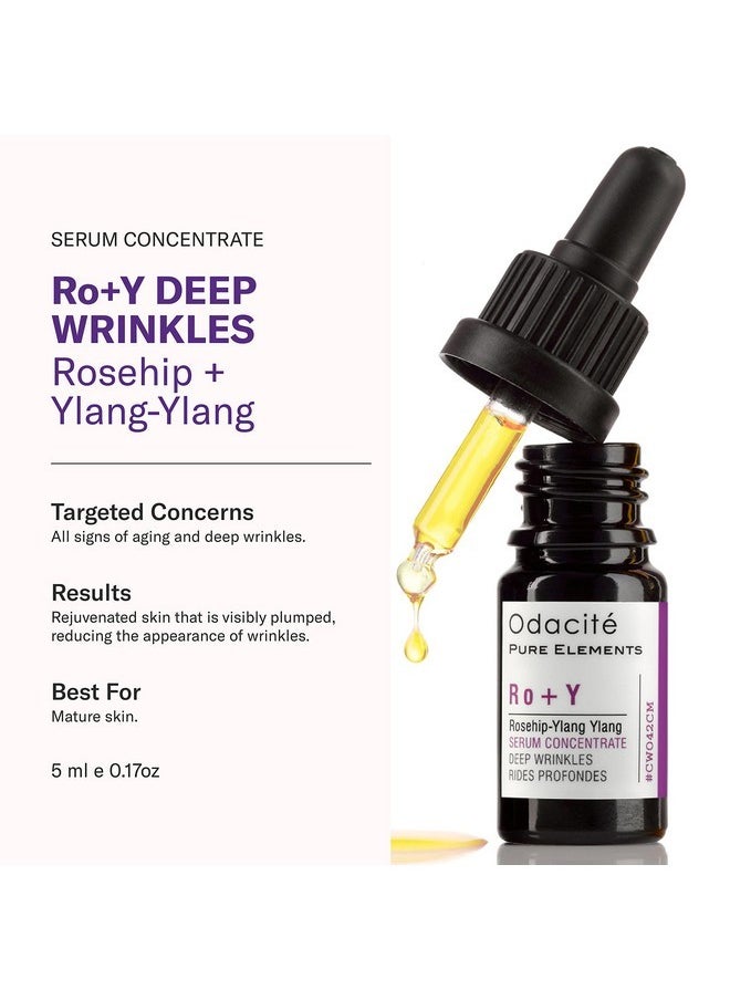 Odacité Anti Aging Serum Concentrate with Rosehip + Ylang-Ylang - Lightweight Facial Serum For Mature Skin, Fine Lines, Nourishes for Look of Plump, Youthful Skin - 0.17 Fl. Oz