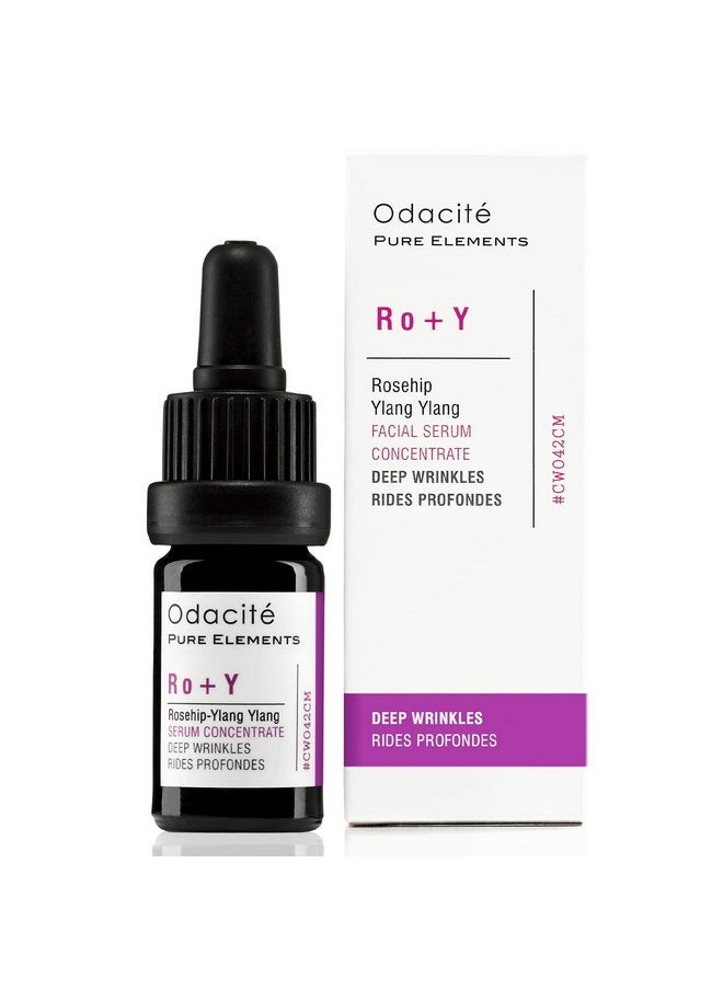 Odacité Anti Aging Serum Concentrate with Rosehip + Ylang-Ylang - Lightweight Facial Serum For Mature Skin, Fine Lines, Nourishes for Look of Plump, Youthful Skin - 0.17 Fl. Oz