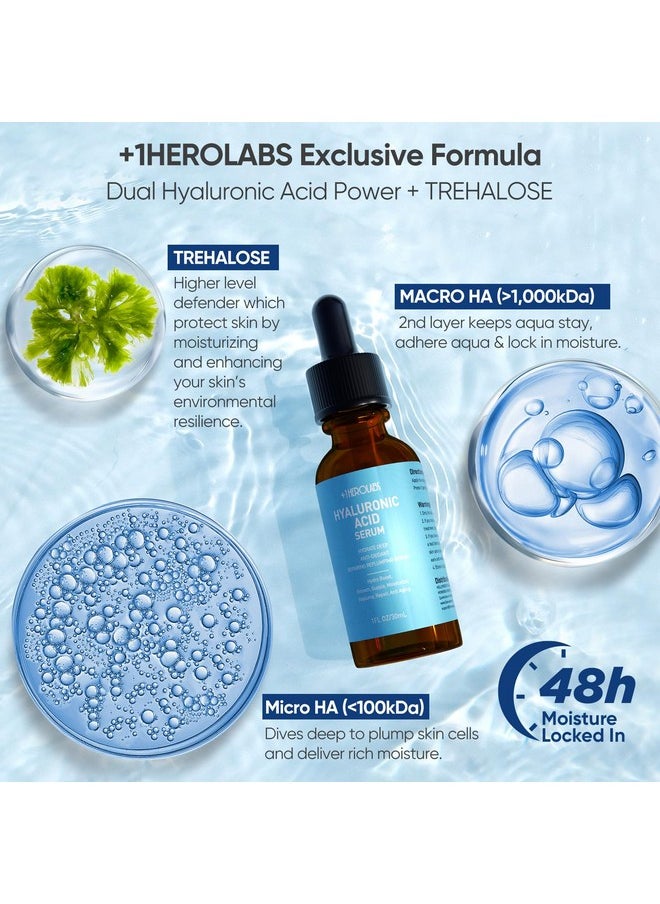 Hyaluronic Acid Serum for Face with Vitamin C, B5, E, Niacinamide - Deep Hydrating, Anti-Aging, Plumping, Safe for Sensitive Skin, Fragrance-Free 1 Fl Oz