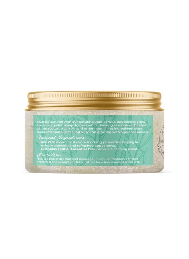 Natural Elephant Aloe Vera & Botanicals Exfoliating Sugar Scrub with Argan Oil and Shea Butter 10 oz (283g)