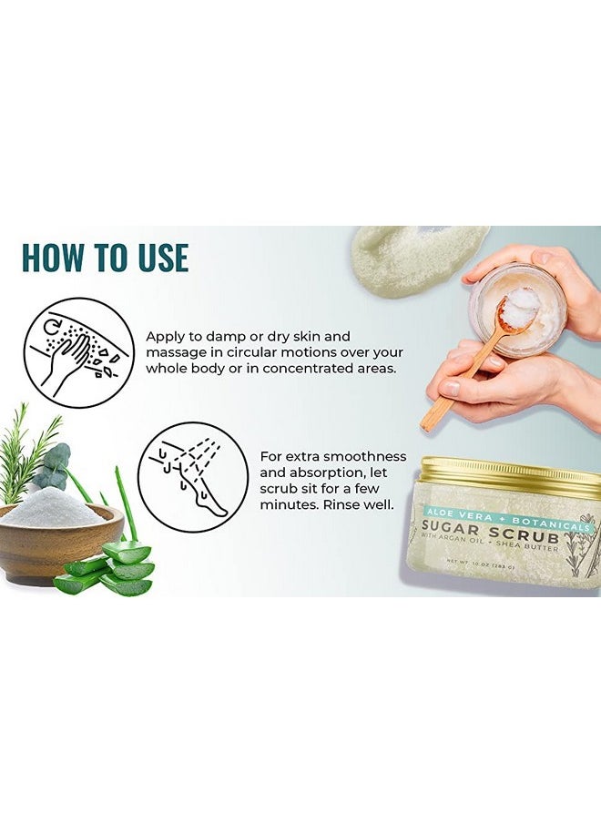 Natural Elephant Aloe Vera & Botanicals Exfoliating Sugar Scrub with Argan Oil and Shea Butter 10 oz (283g)
