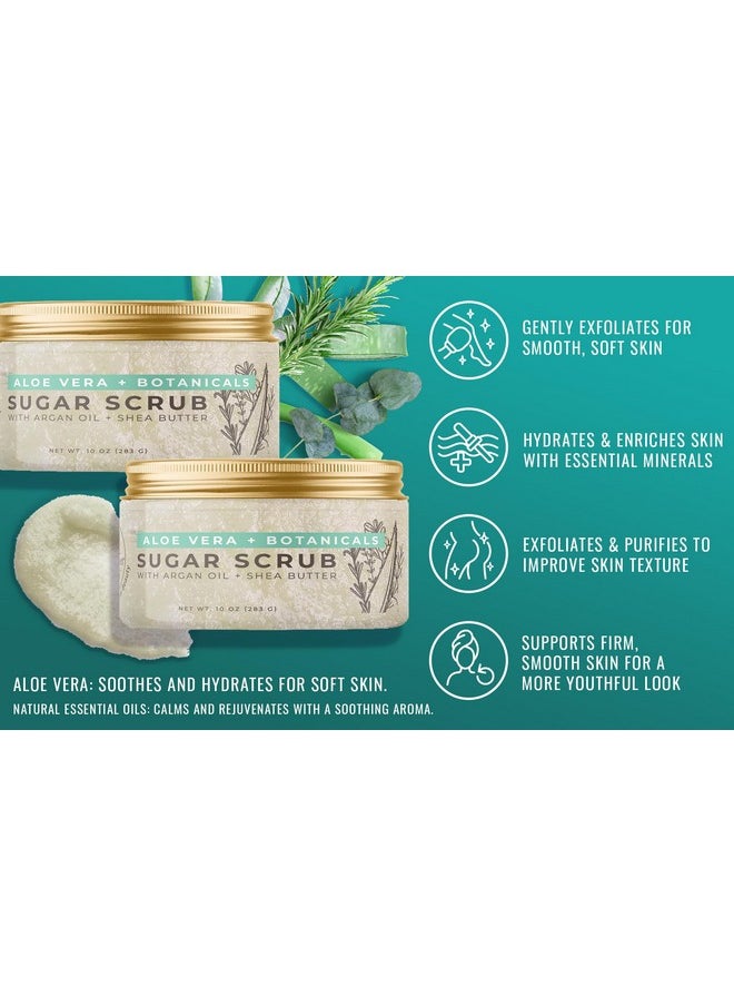 Natural Elephant Aloe Vera & Botanicals Exfoliating Sugar Scrub with Argan Oil and Shea Butter 10 oz (283g)