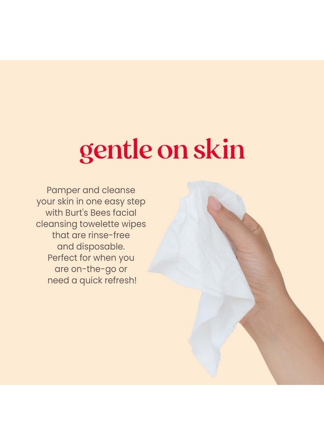Burt's Bees Aloe Vera Face Wipes, for Sensitive Skin, Soothing Makeup Remover & Facial Cleansing Towelettes, 30 Ct. (3-Pack)