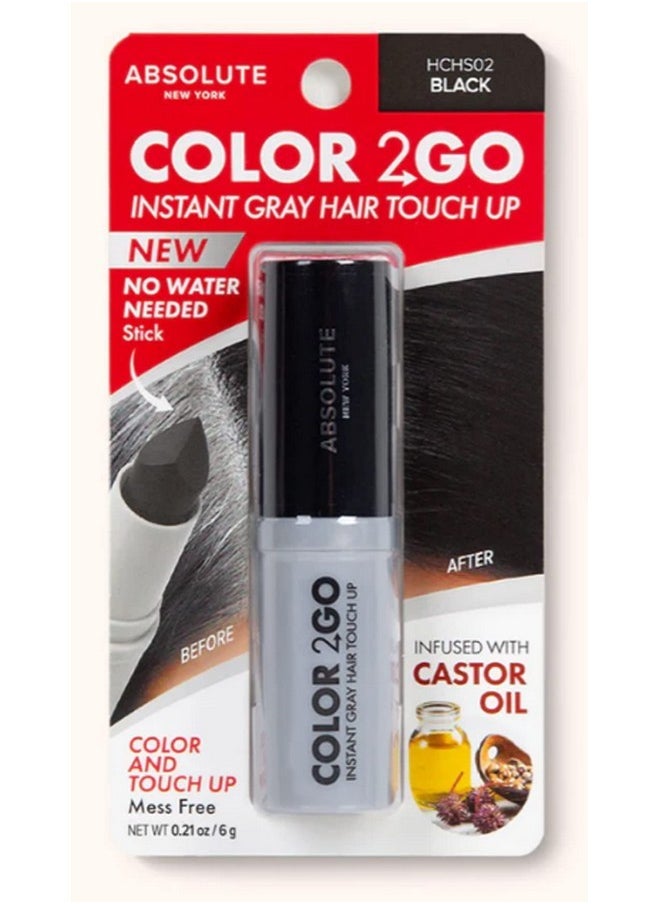 Absolute New York Color 2 Go - Instant Root Touch Up Hair Stick (HCHS02 Black, .21 oz)