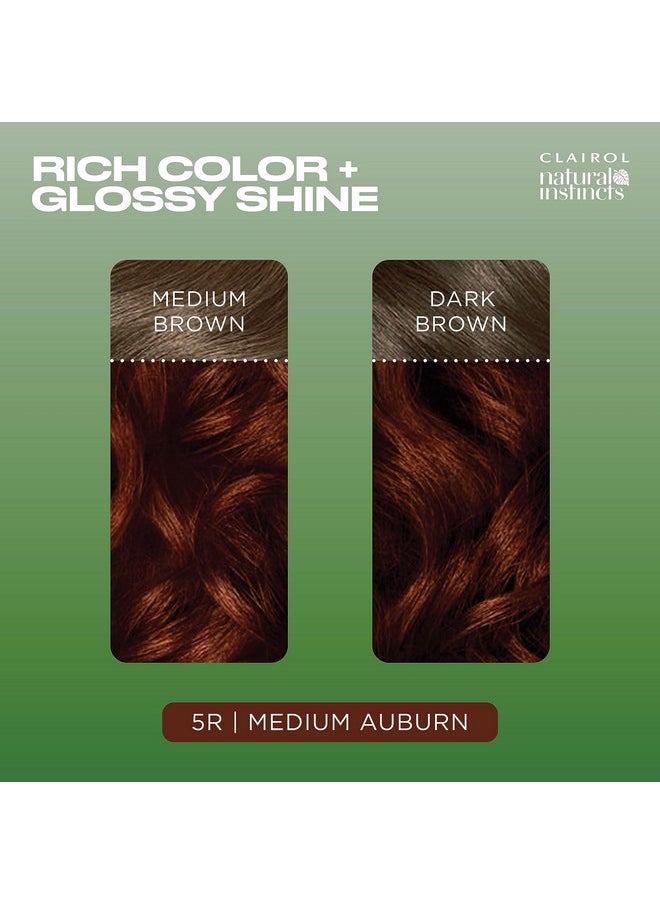 Clairol Natural Instincts Demi-Permanent Hair Dye, 5R Medium Auburn Hair Color, Pack of 1