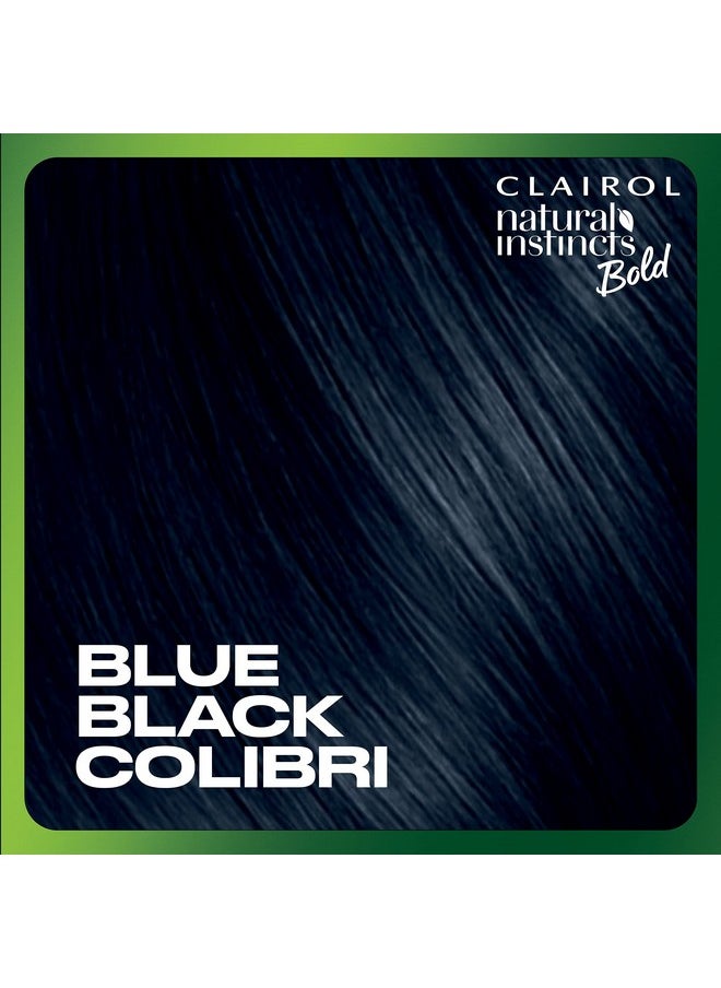 Clairol Natural Instincts Bold Permanent Hair Dye, BL28 Blue Black Colibri Hair Color, Pack of 1
