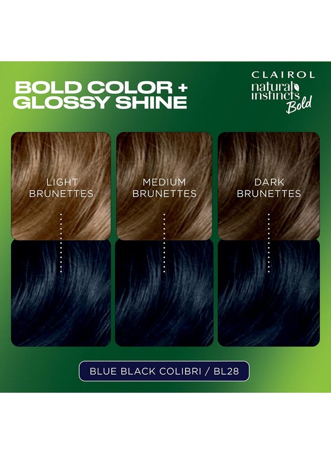 Clairol Natural Instincts Bold Permanent Hair Dye, BL28 Blue Black Colibri Hair Color, Pack of 1