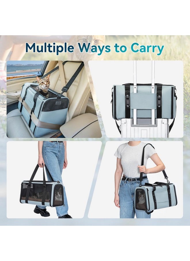 Petsfit Airline Approved Soft-Sided Pet Carrier for Cats & Dogs 18