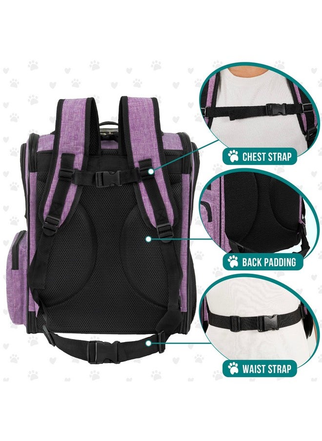 PetAmi Dog Backpack Carrier For Small Large Cat, Pet, Puppies, Ventilated Pet Hiking Backpack Travel Bag, Airline Approved Cat Backpack Carrier, Safety Back Support, Camping Biking, Max 18 lbs, Purple