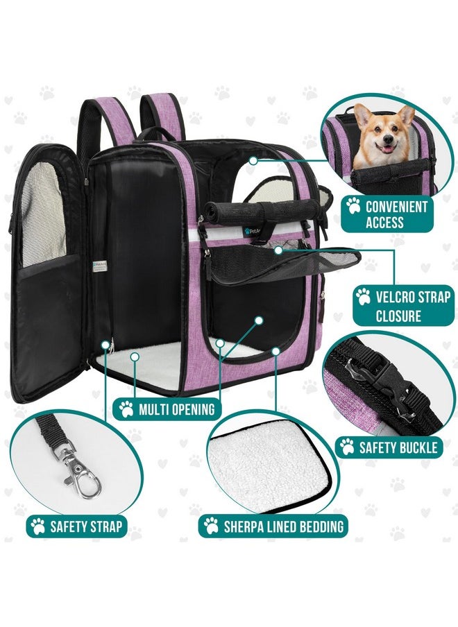 PetAmi Dog Backpack Carrier For Small Large Cat, Pet, Puppies, Ventilated Pet Hiking Backpack Travel Bag, Airline Approved Cat Backpack Carrier, Safety Back Support, Camping Biking, Max 18 lbs, Purple