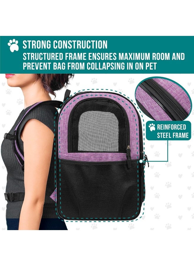 PetAmi Dog Backpack Carrier For Small Large Cat, Pet, Puppies, Ventilated Pet Hiking Backpack Travel Bag, Airline Approved Cat Backpack Carrier, Safety Back Support, Camping Biking, Max 18 lbs, Purple