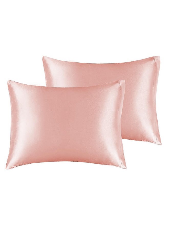 BEDELITE Satin Pillowcase for Hair and Skin, Super Soft and Cooling Similar to Silk Pillow Cases 2 Pack with Envelope Closure, Gift for Women Men(13