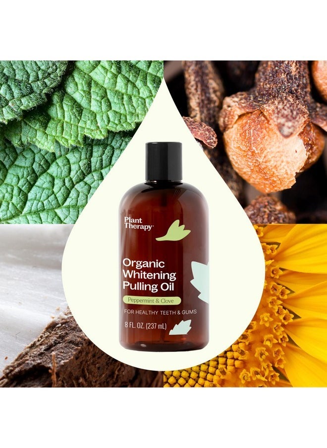 Plant Therapy Organic Whitening Pulling Oil 8 oz Peppermint & Clove, Naturally Whitens Teeth, Freshens Breath & Supports Gum Health, Helps Calm Oral Irritation and Discomfort, Natural Essential Oils