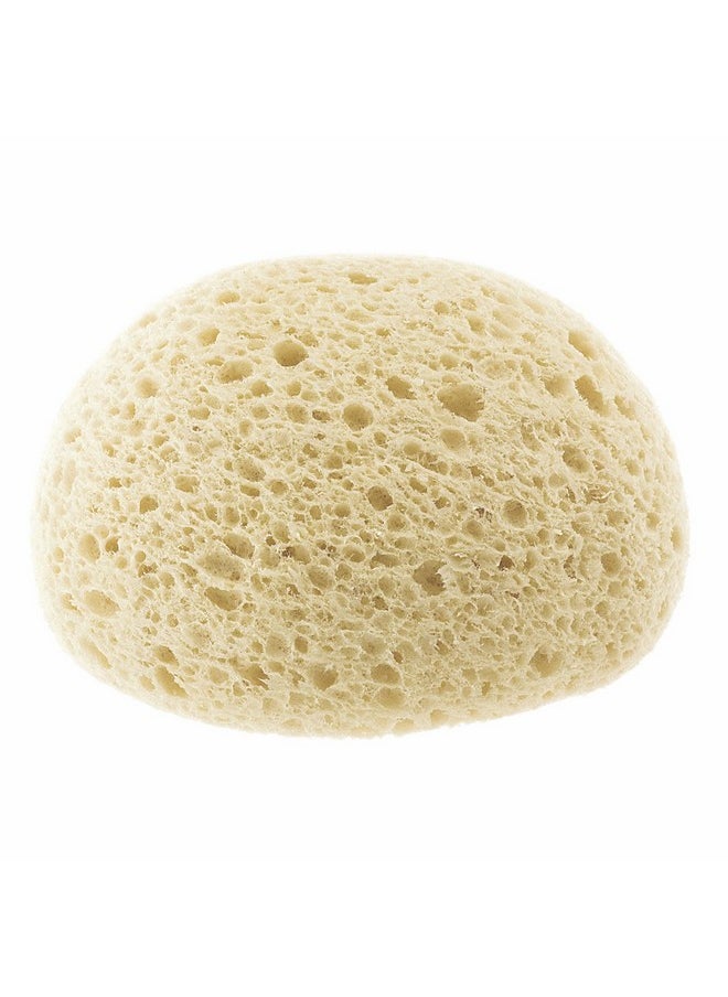 Chicco Ultra Absorbent Sponge, 0m+, Assorted Colours, 664.95 Cubic_Centimeters, 62g, 0, 1