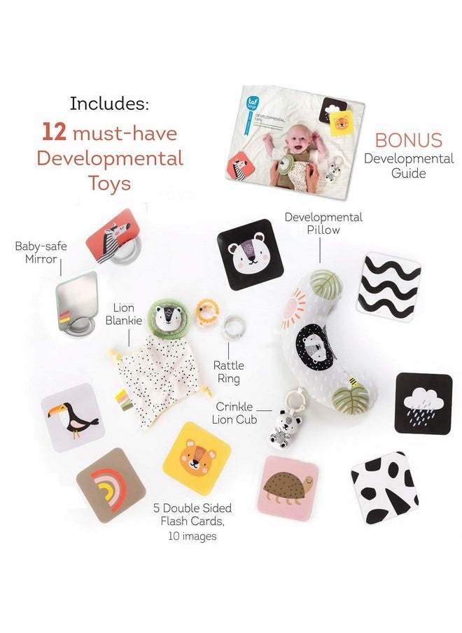 Taf Toys Newborn Developmental Toy Kit, Perfect for Boys and Girls, Includes 12 Essential Baby Boy and Girl Toys for Learning and Stimulation, Ideal New Baby Gift Basket