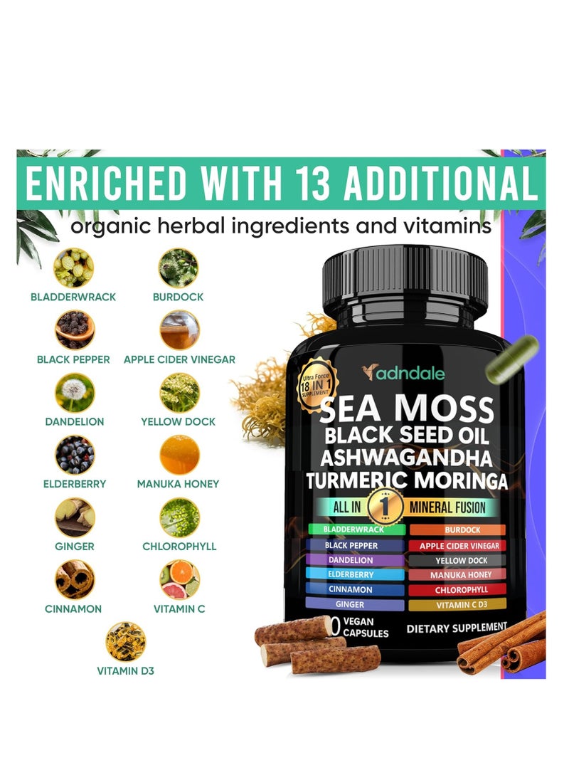 Sea Moss Black Seed Oil Ashwagandha Ginger Capsules. Sea Moss Capsules with Black Seed Oil, Ashwagandha, Turmeric, Moringa, Bladderwrack, Burdock Root, Manuka Honey, Cinnamon.